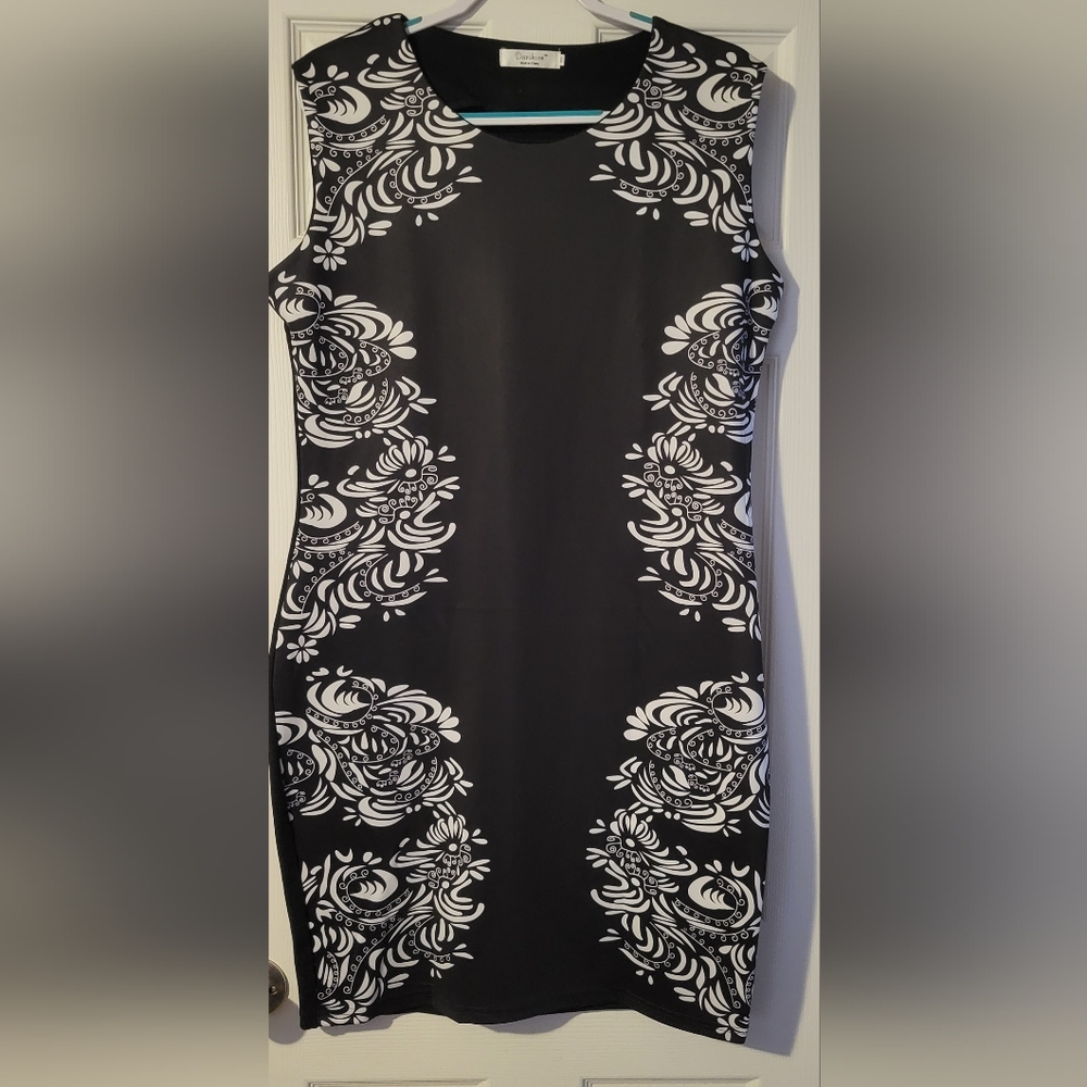 Black and White Dress NWOT